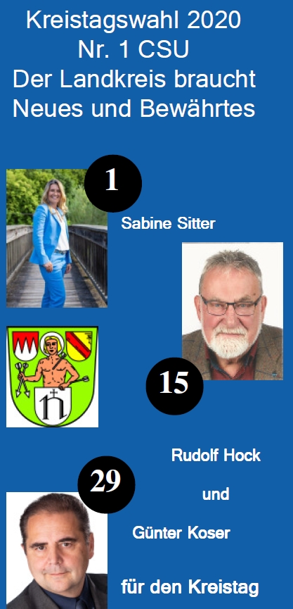 Kreistagswahl 2020
